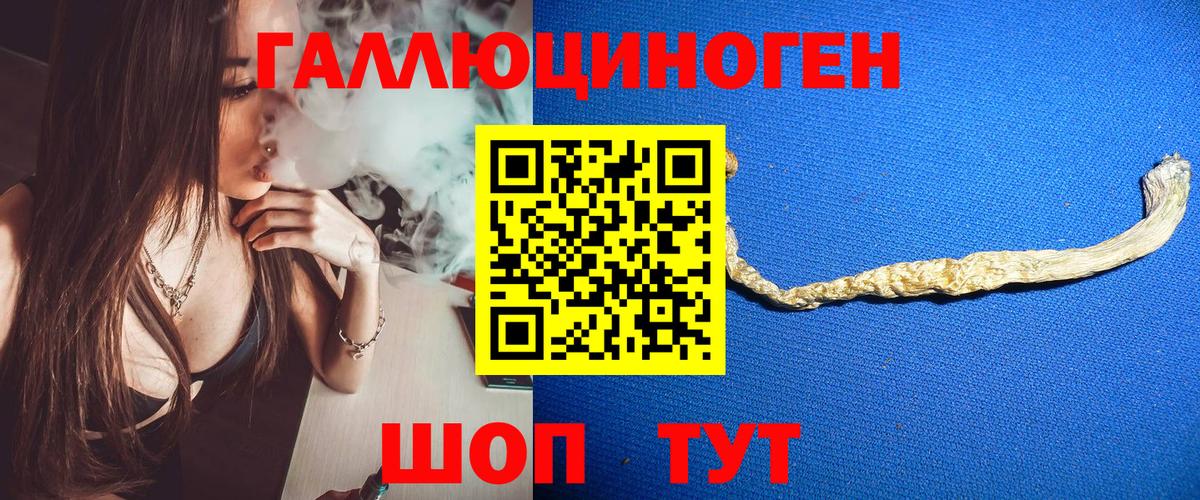 Псилоцибиновые грибы Magic Shrooms Канск